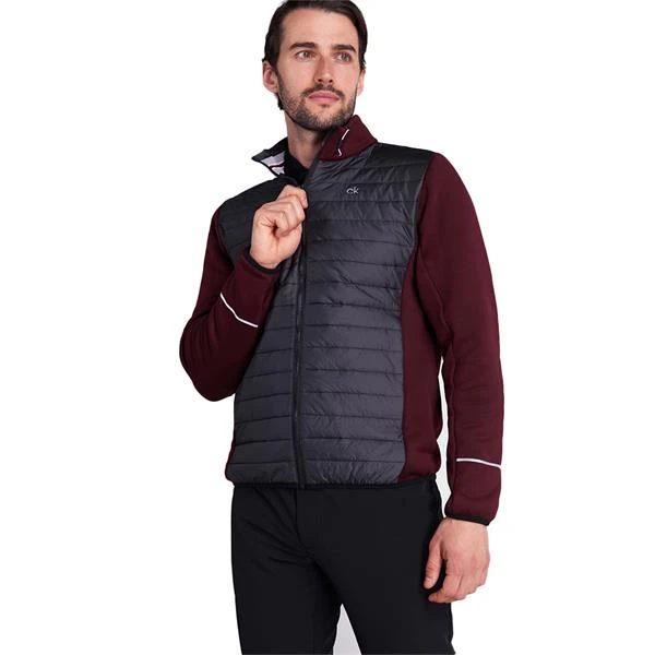Gents Wrangell Hybrid Jacket Blackberry - Image 6